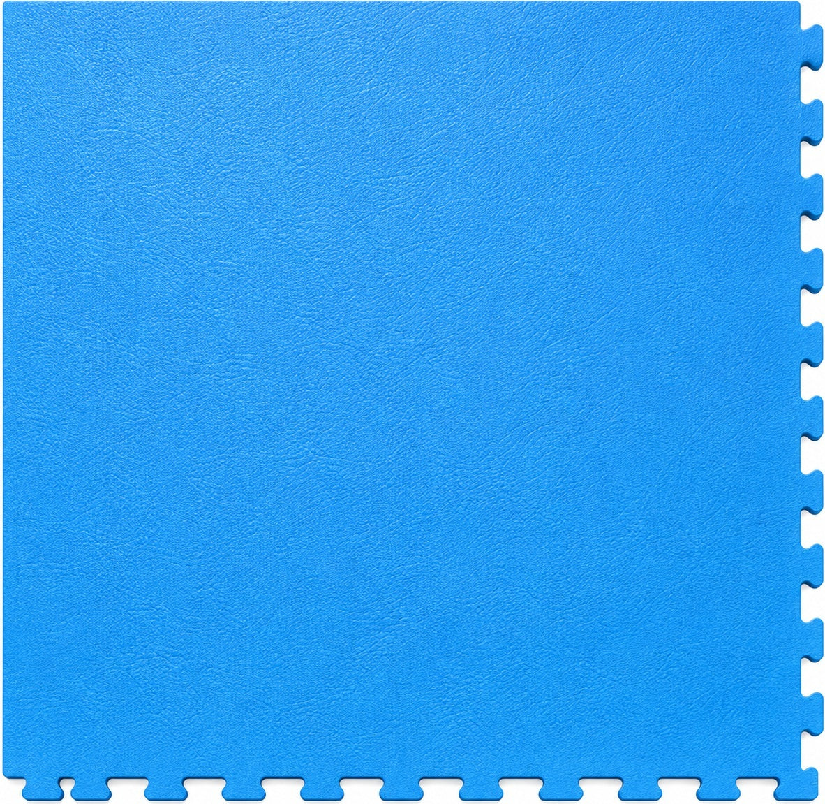25 Cases Close Out Sky Blue Leather