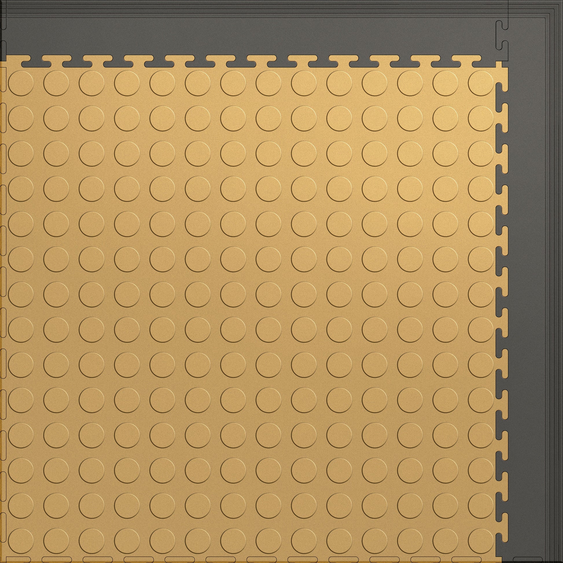 Small Color Coin Gym & Floor Mat 3x4 (12 Tiles 39.88 Sq. Ft.) - Beige Coin / Gray Edges (Detail Image 3)