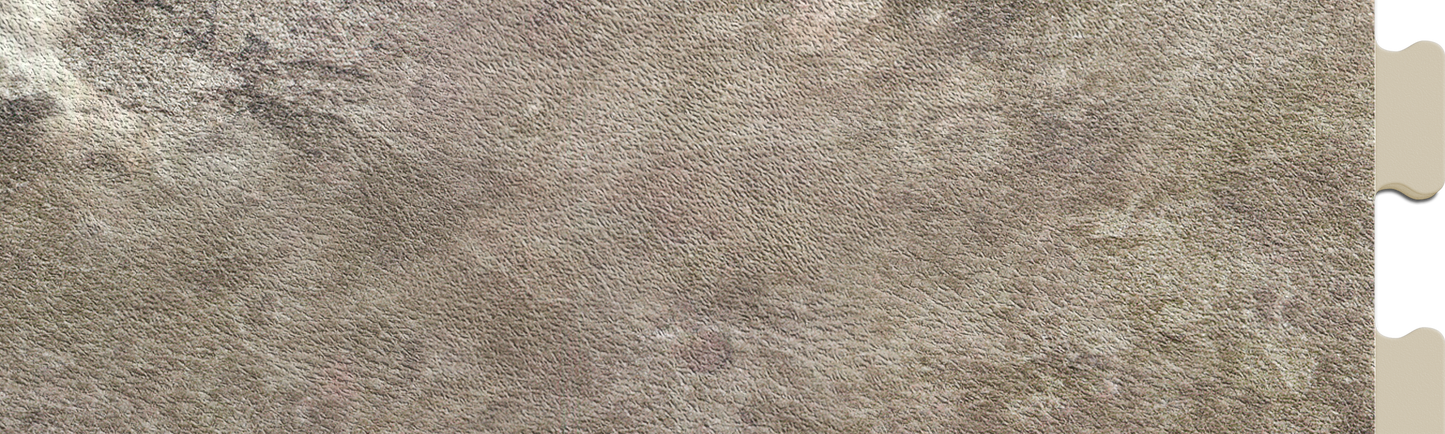 Atlantic Slate Luxury Tile Case - Sample Detail